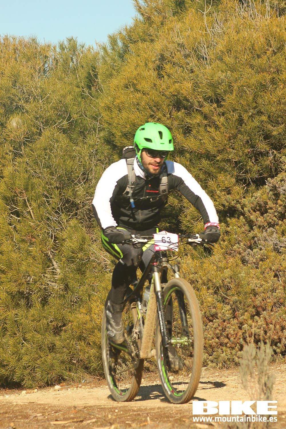 Valdemorillo 2015 Galeria 3