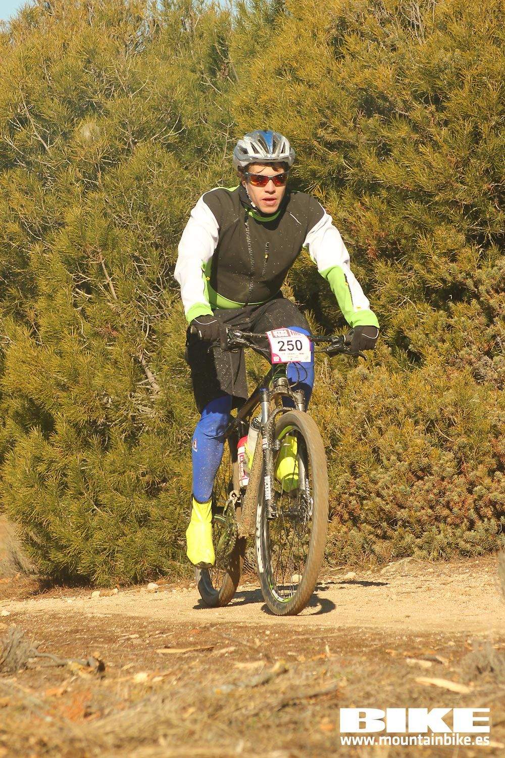 Valdemorillo 2015 Galeria 3