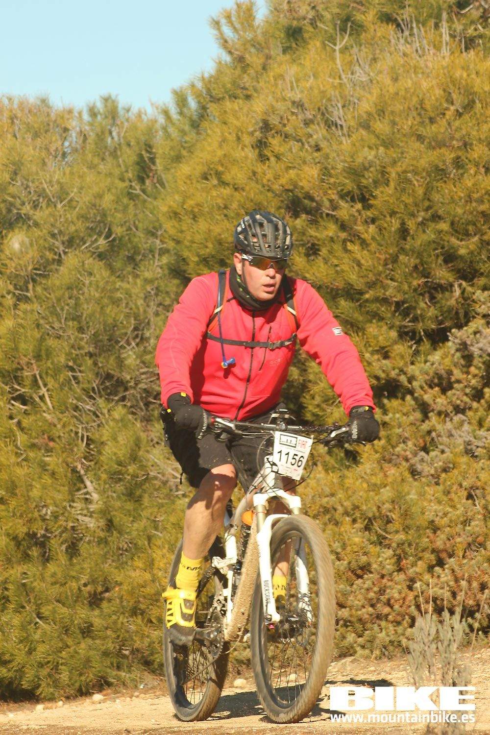 Valdemorillo 2015 Galeria 3