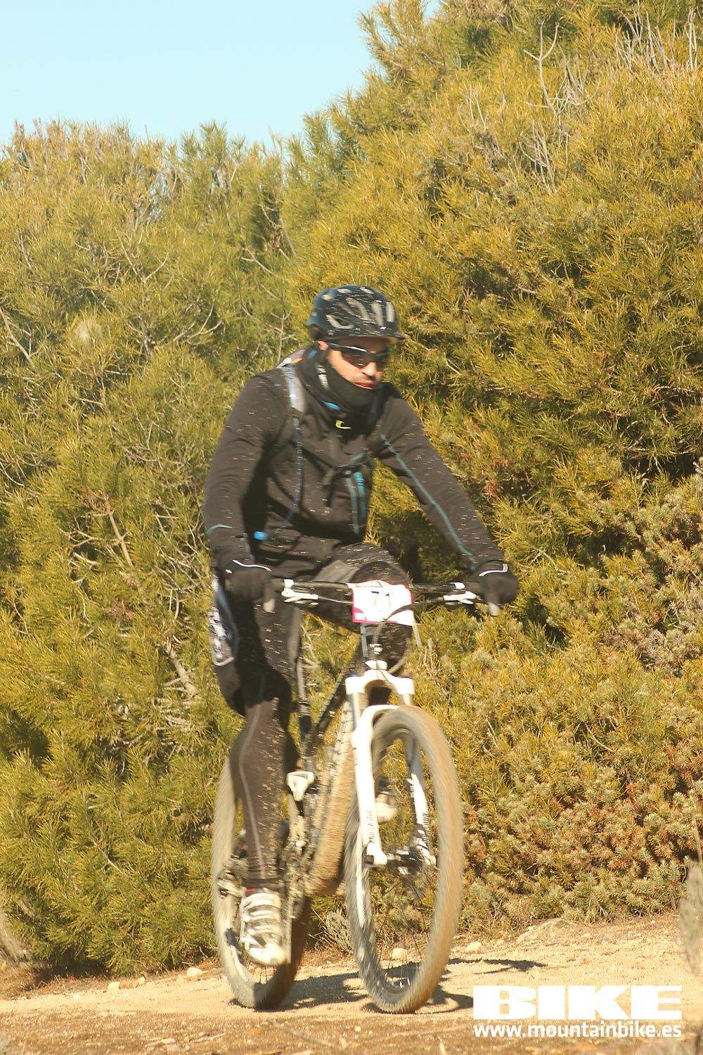 Valdemorillo 2015 Galeria 3
