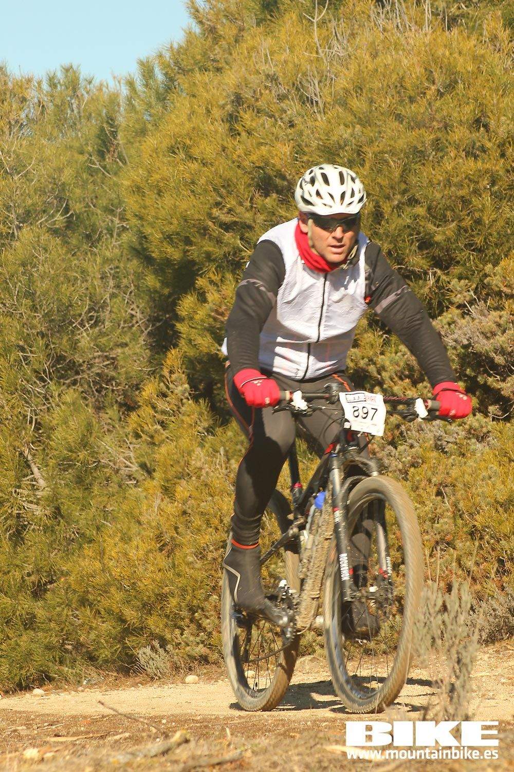 Valdemorillo 2015 Galeria 3