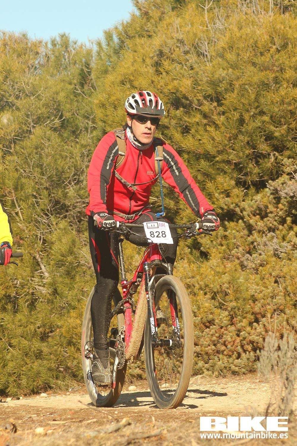 Valdemorillo 2015 Galeria 3