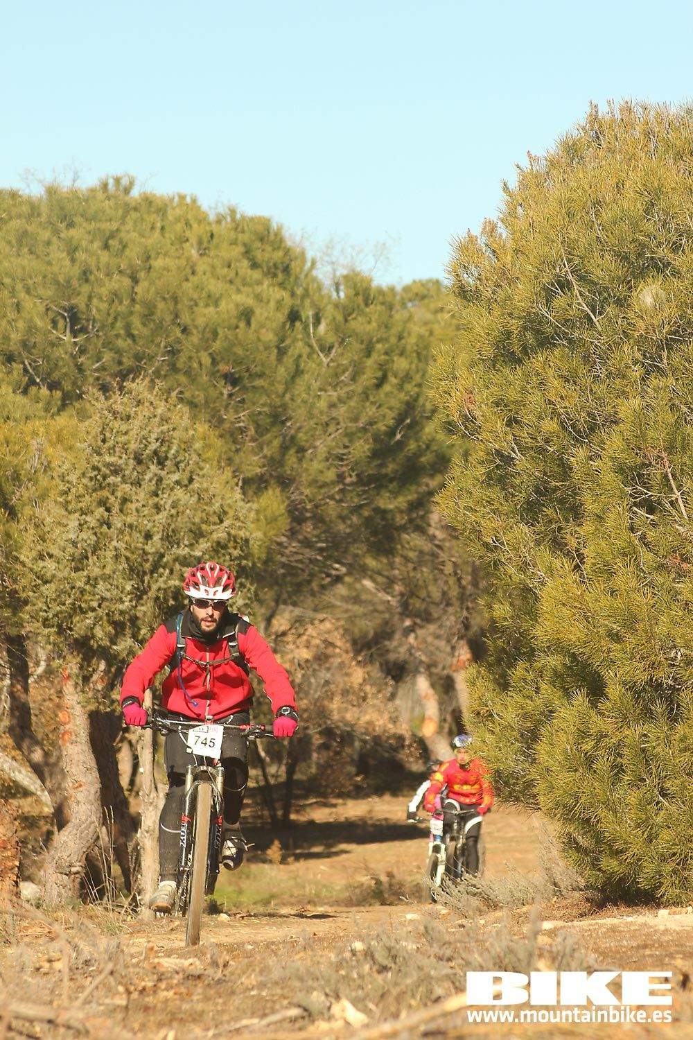 Valdemorillo 2015 Galeria 3