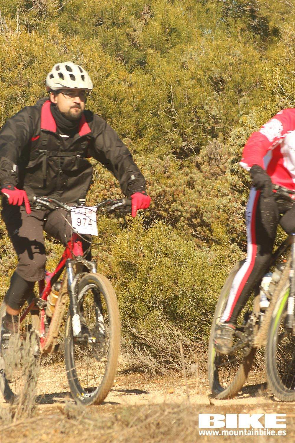 Valdemorillo 2015 Galeria 4