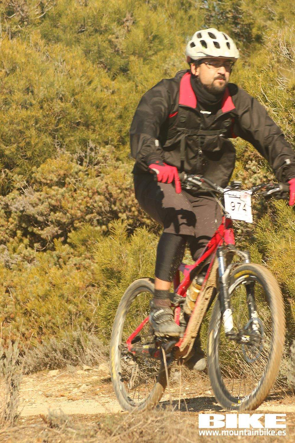 Valdemorillo 2015 Galeria 4