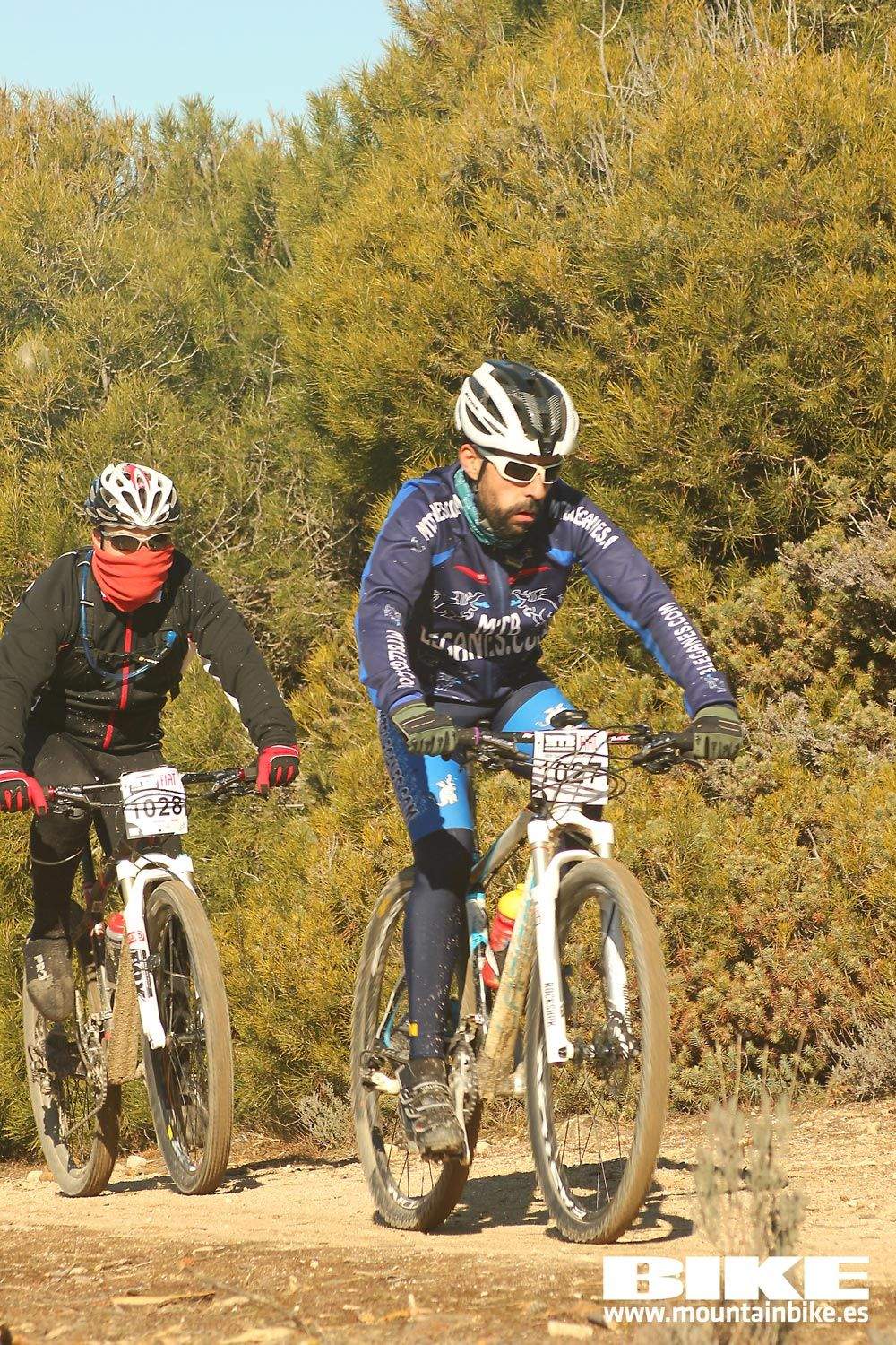 Valdemorillo 2015 Galeria 4