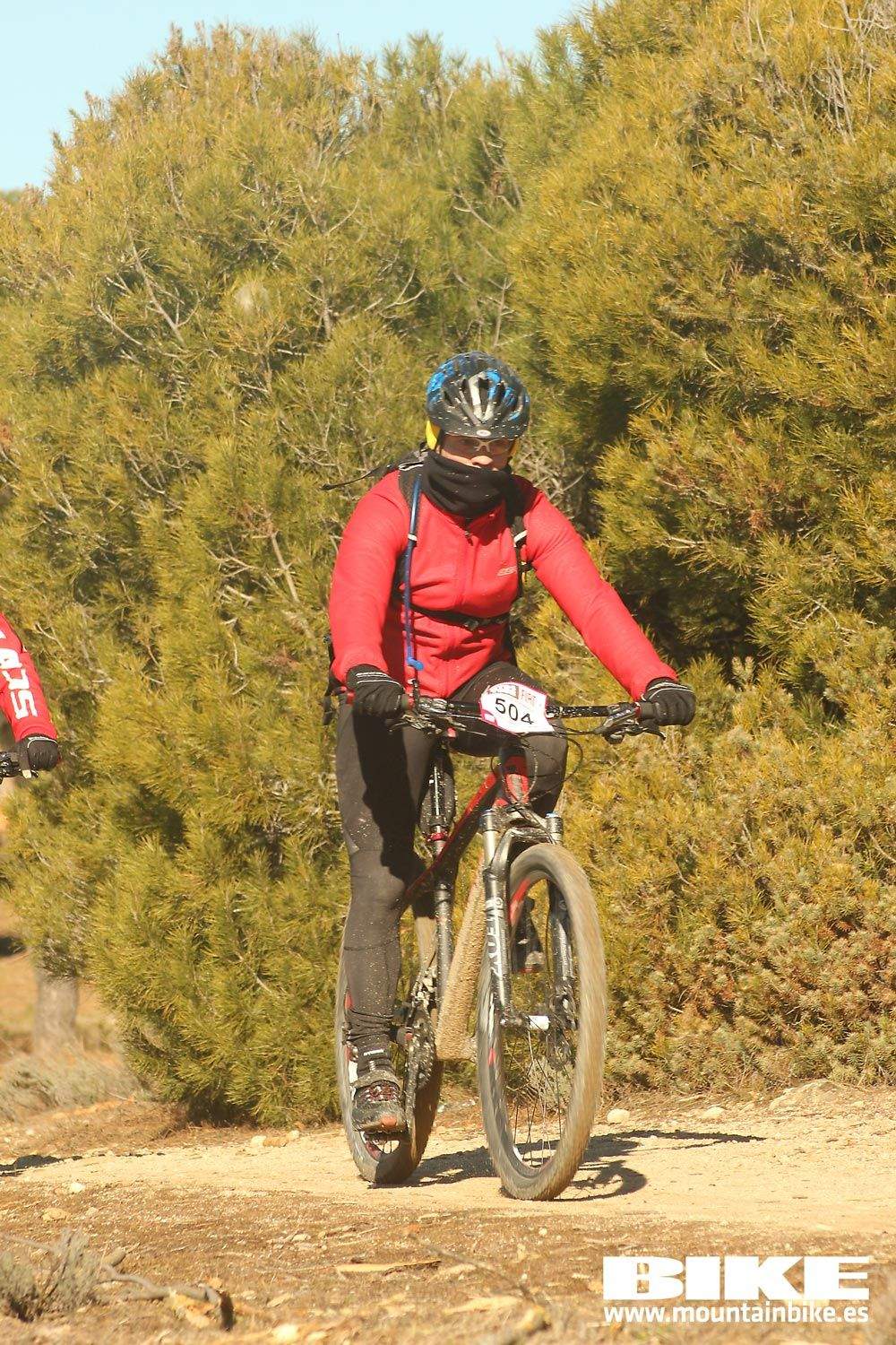 Valdemorillo 2015 Galeria 4
