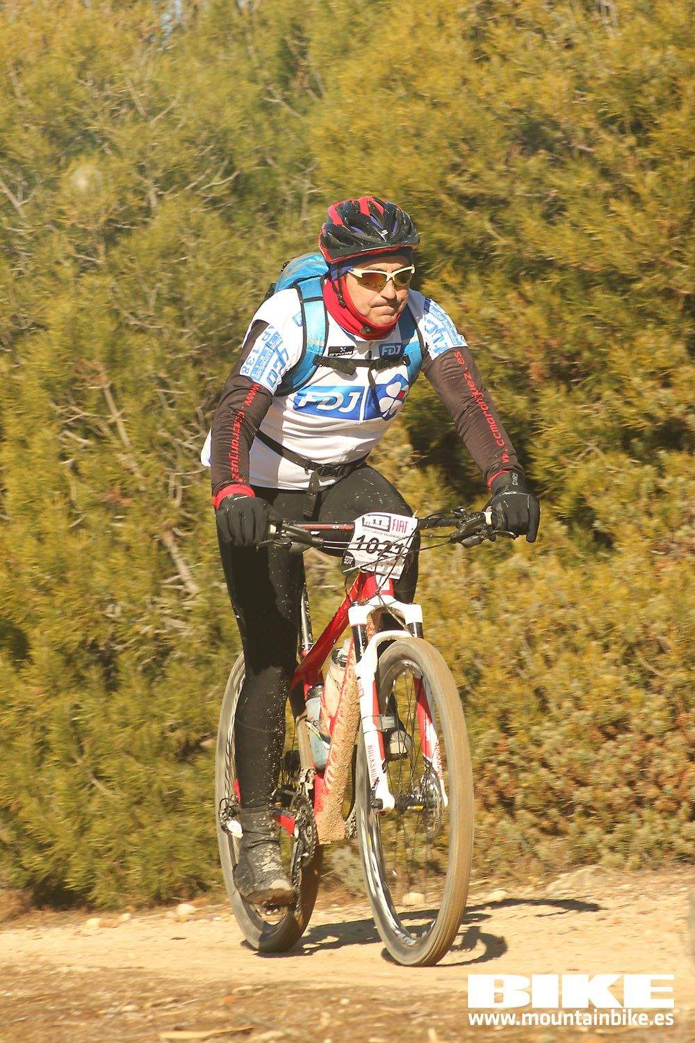 Valdemorillo 2015 Galeria 4