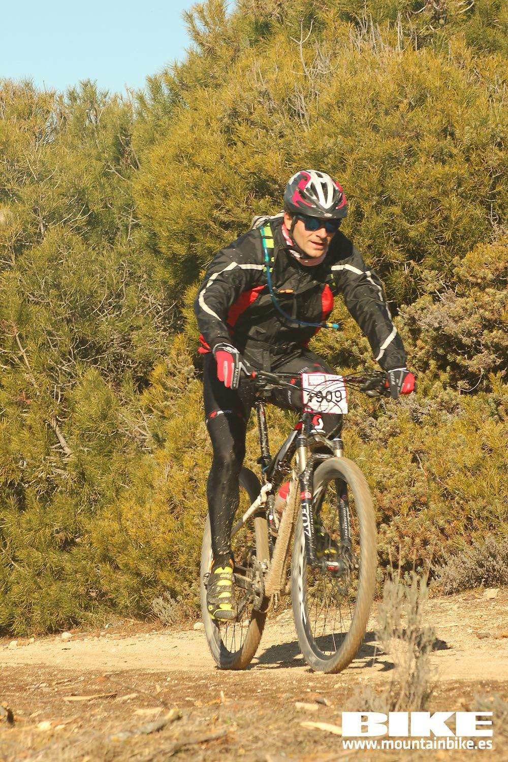 Valdemorillo 2015 Galeria 4