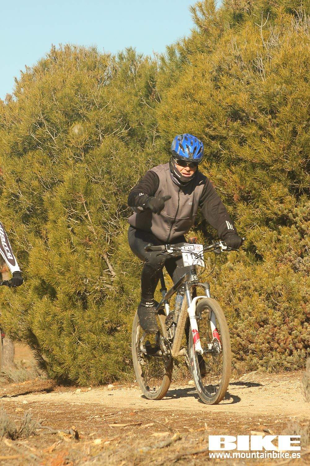Valdemorillo 2015 Galeria 4