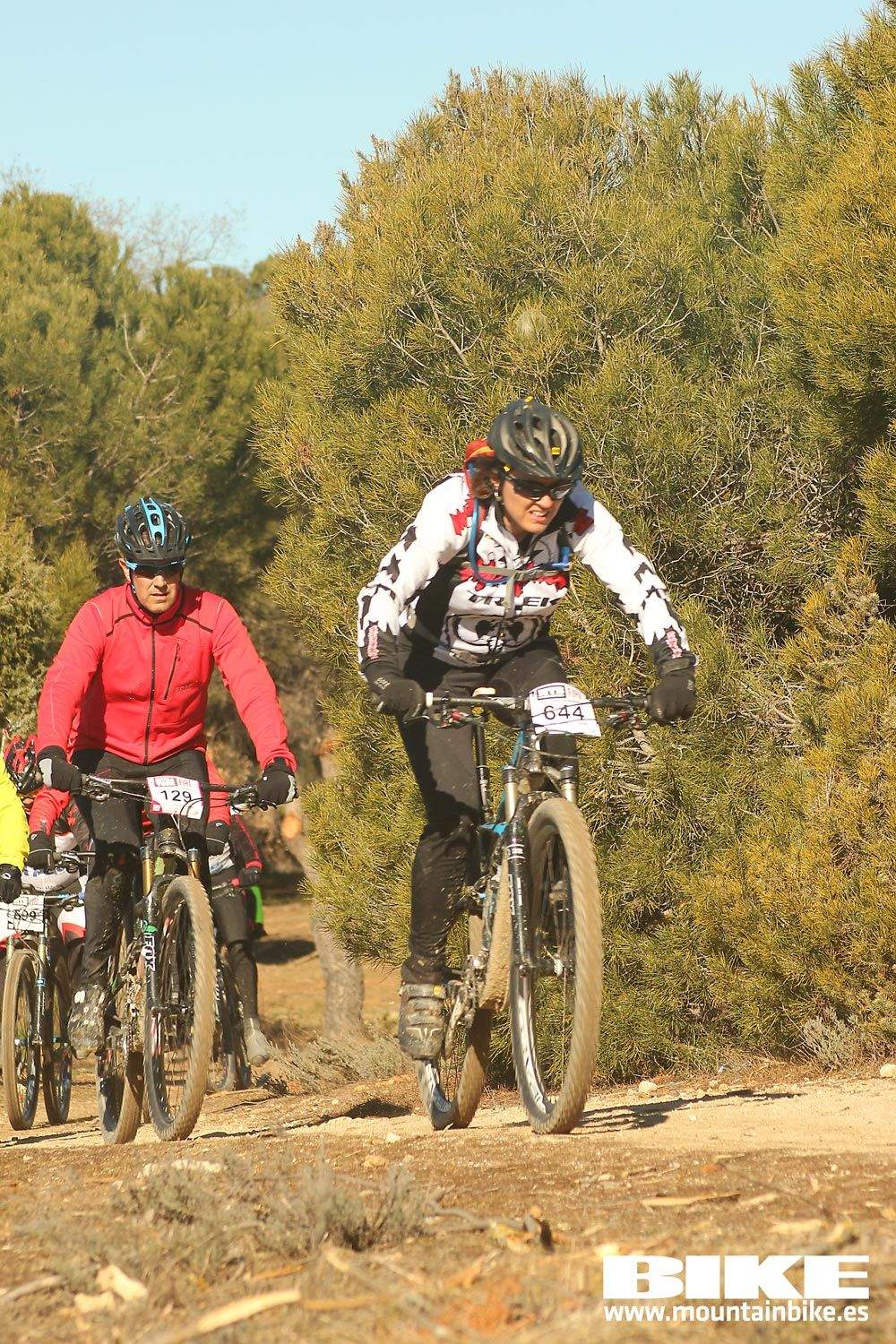 Valdemorillo 2015 Galeria 4