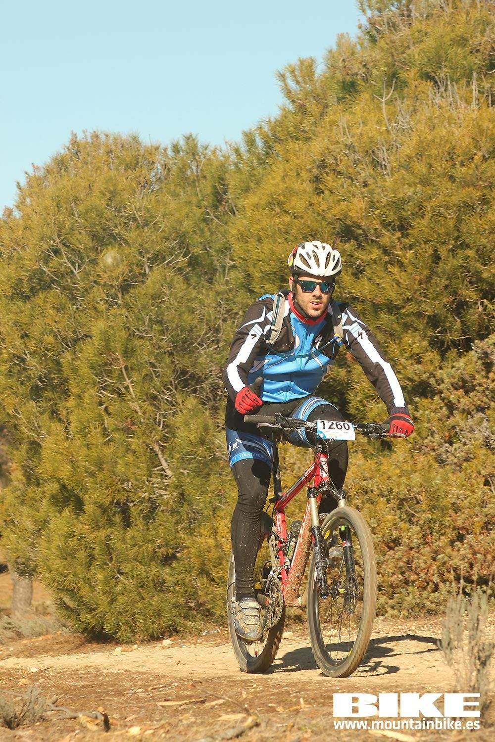 Valdemorillo 2015 Galeria 5