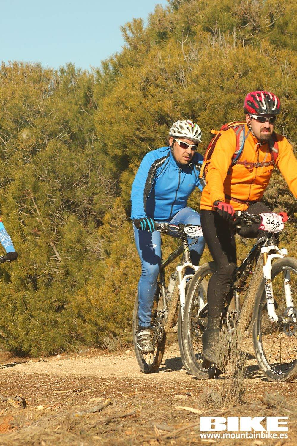 Valdemorillo 2015 Galeria 5