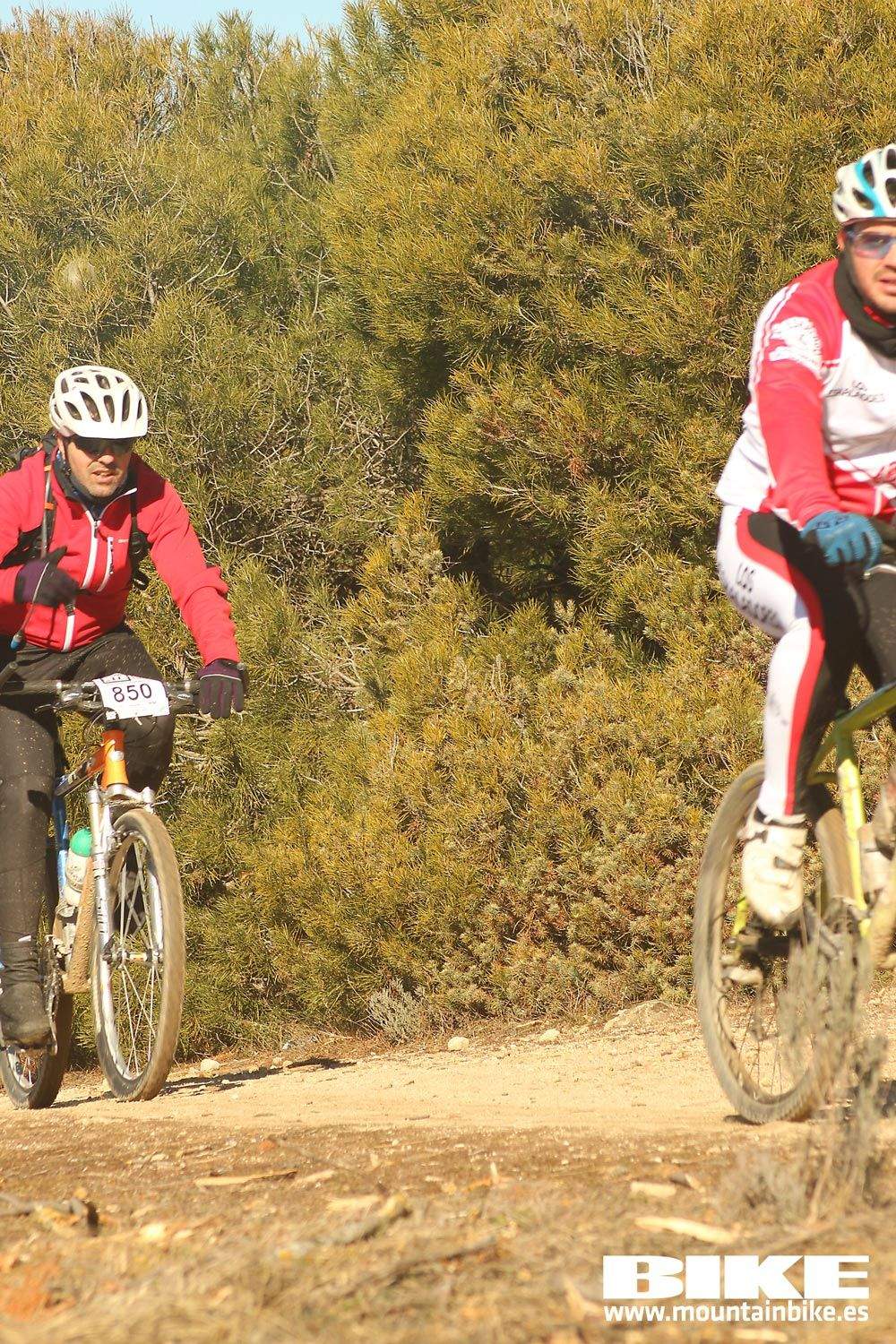 Valdemorillo 2015 Galeria 4