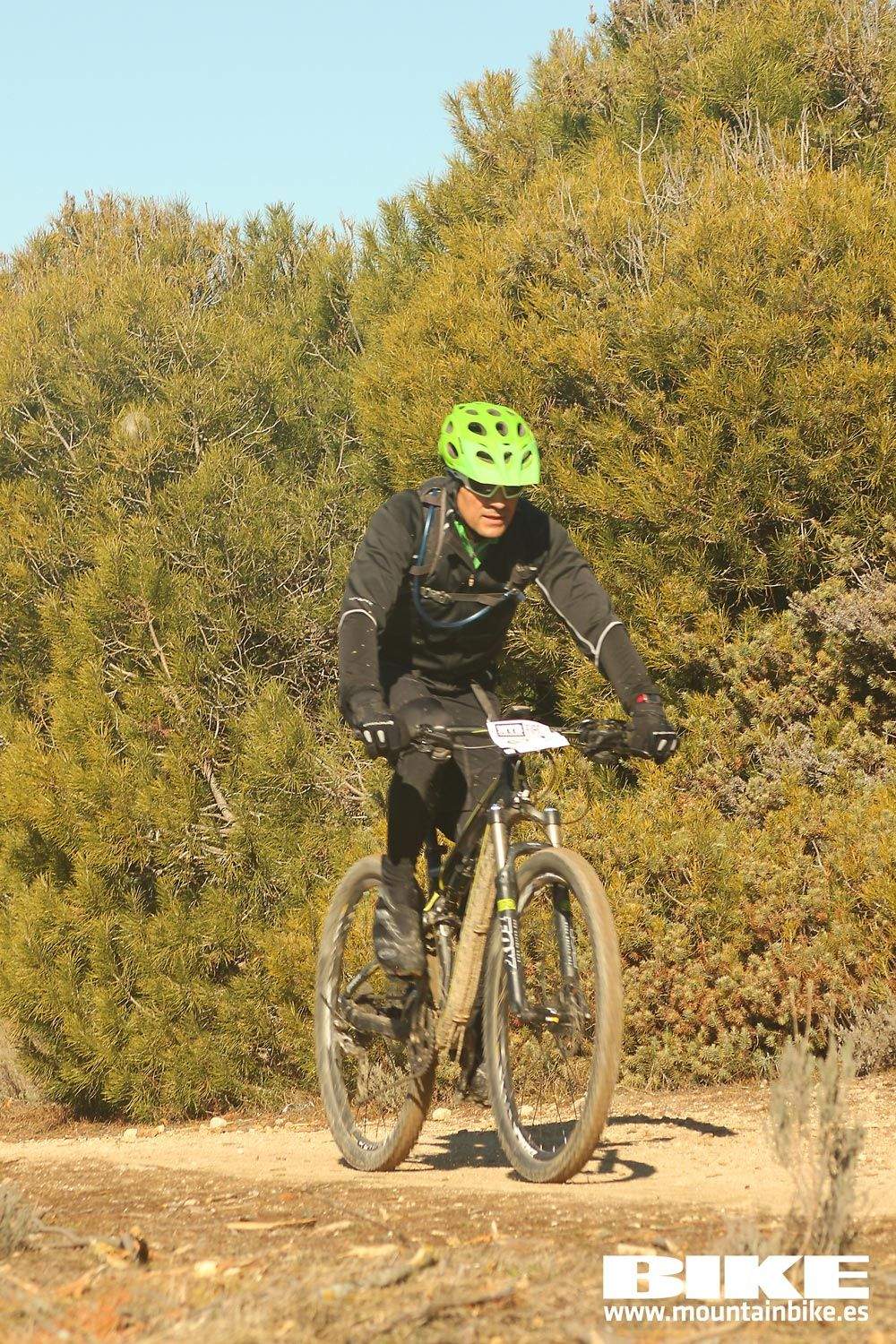 Valdemorillo 2015 Galeria 5