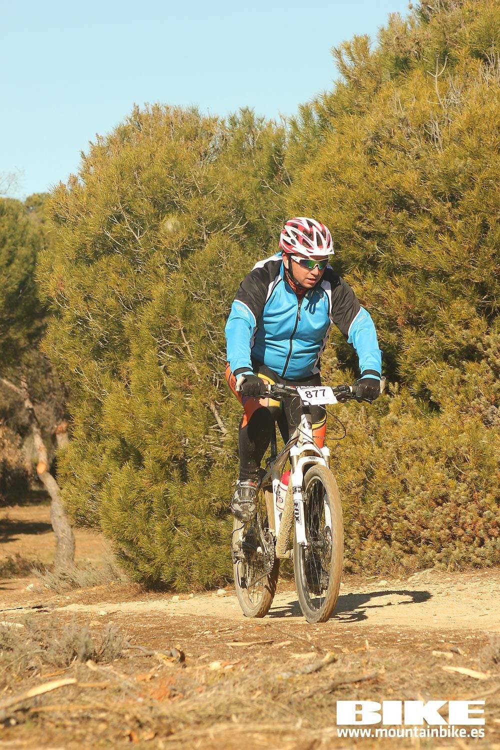 Valdemorillo 2015 Galeria 5