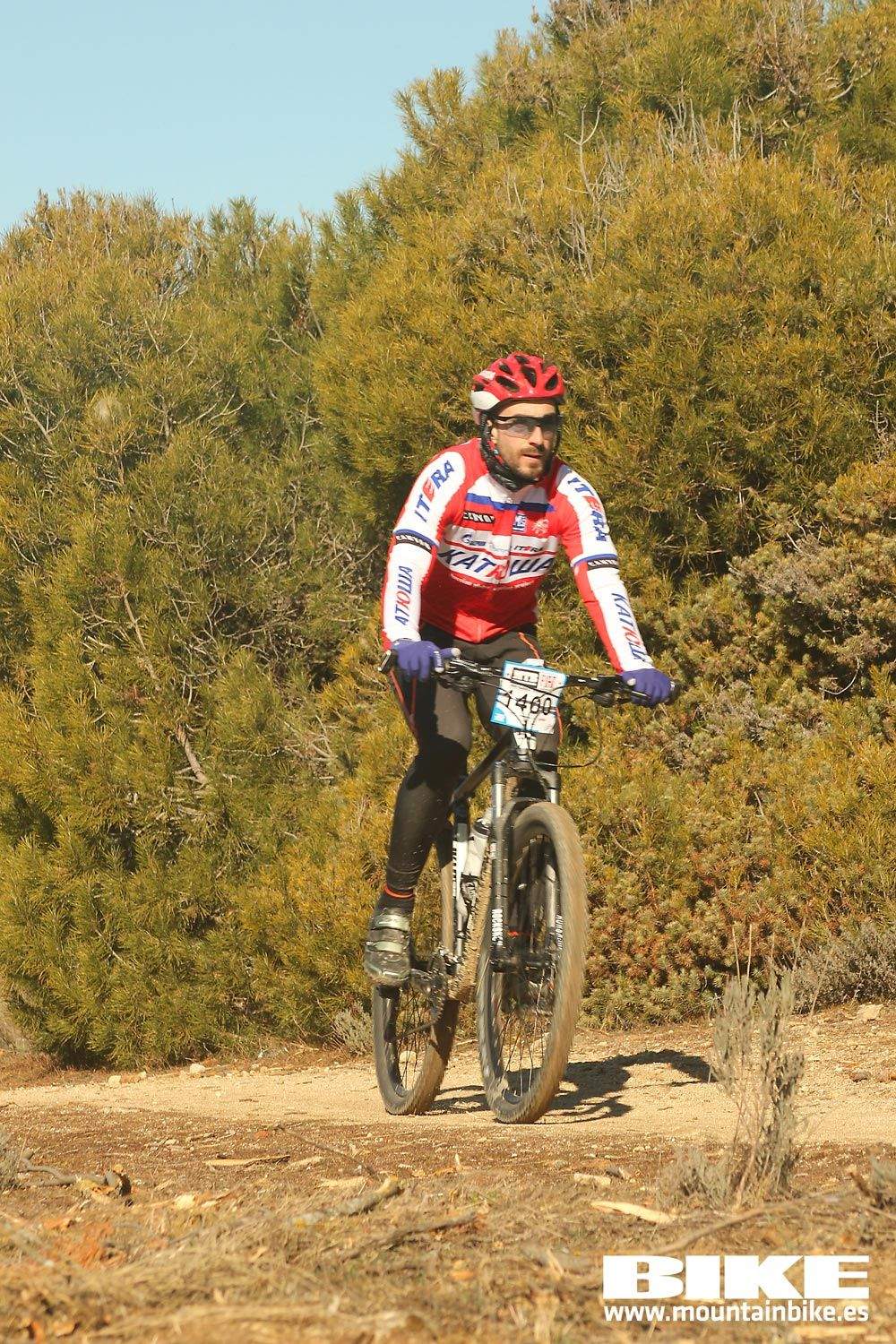 Valdemorillo 2015 Galeria 5