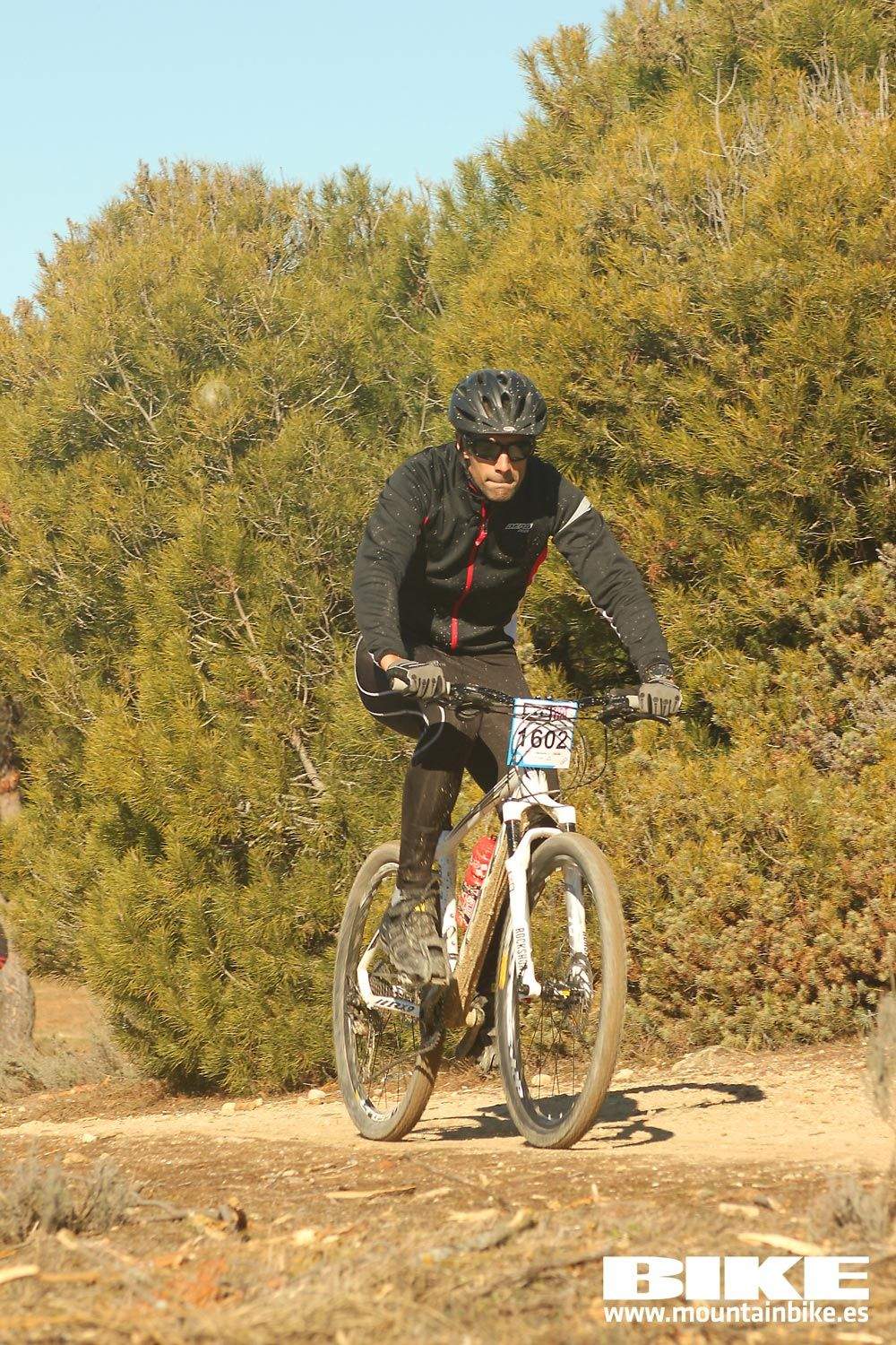 Valdemorillo 2015 Galeria 5