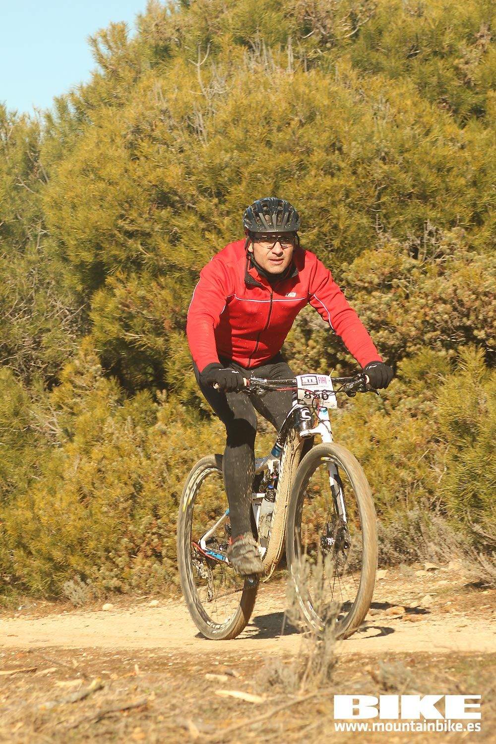 Valdemorillo 2015 Galeria 5