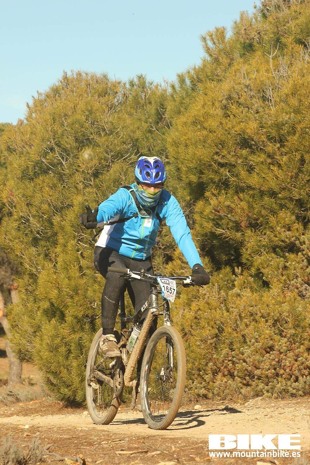 Valdemorillo 2015 Galeria 5