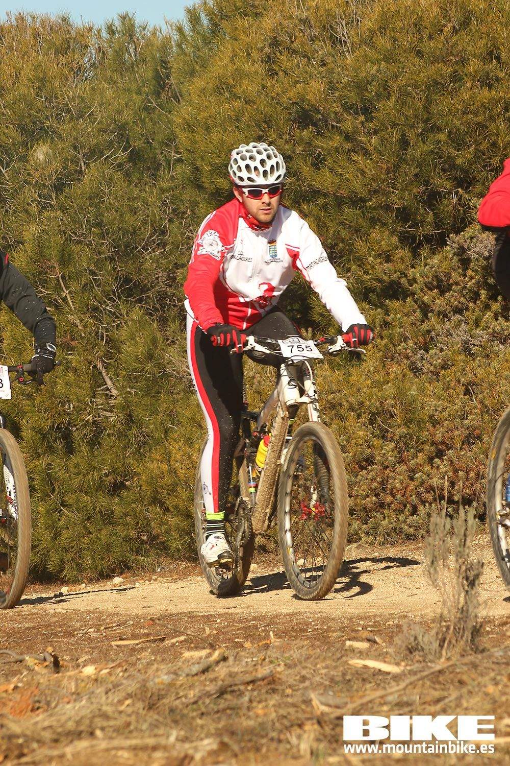 Valdemorillo 2015 Galeria 5
