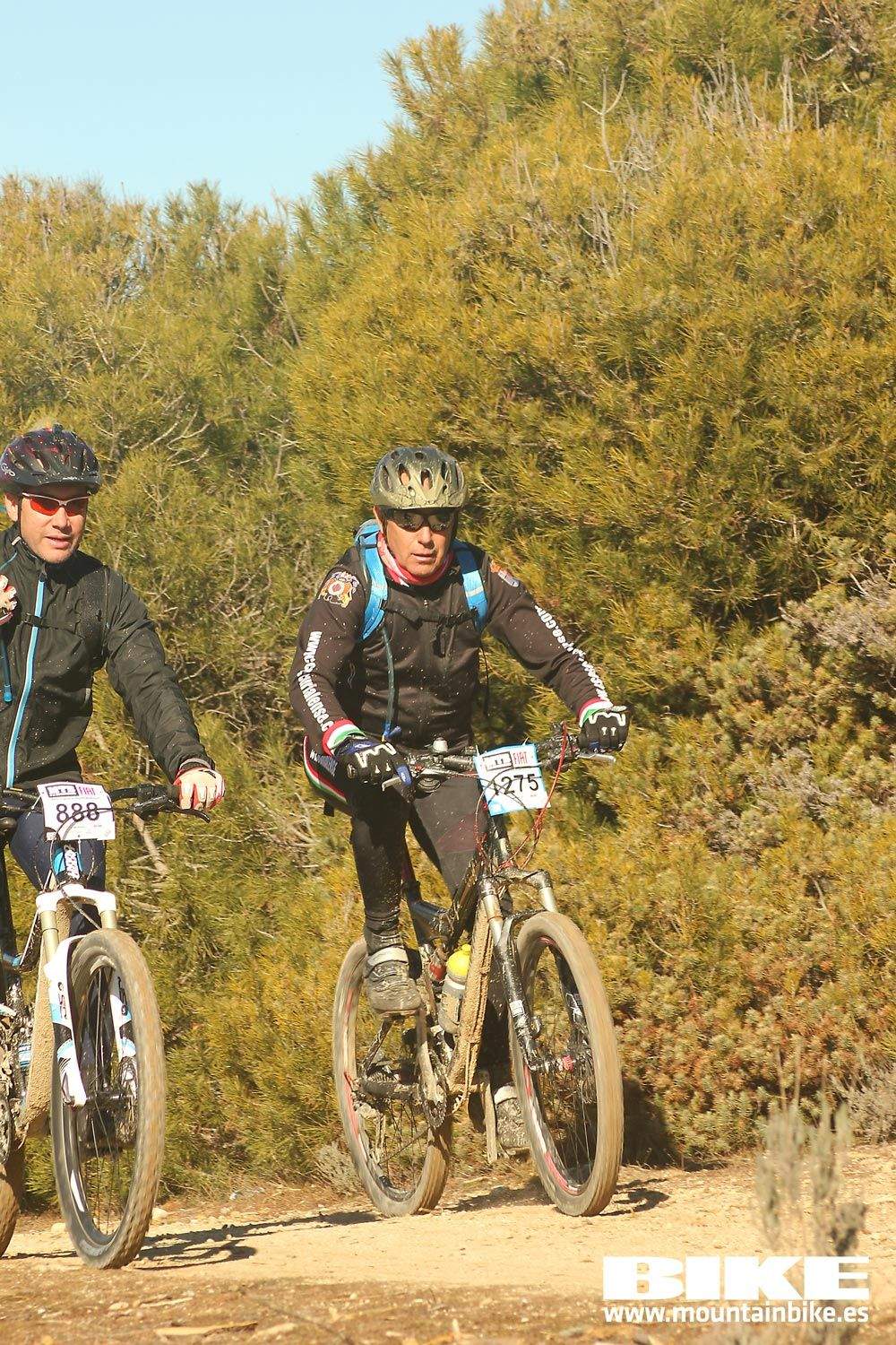 Valdemorillo 2015 Galeria 6
