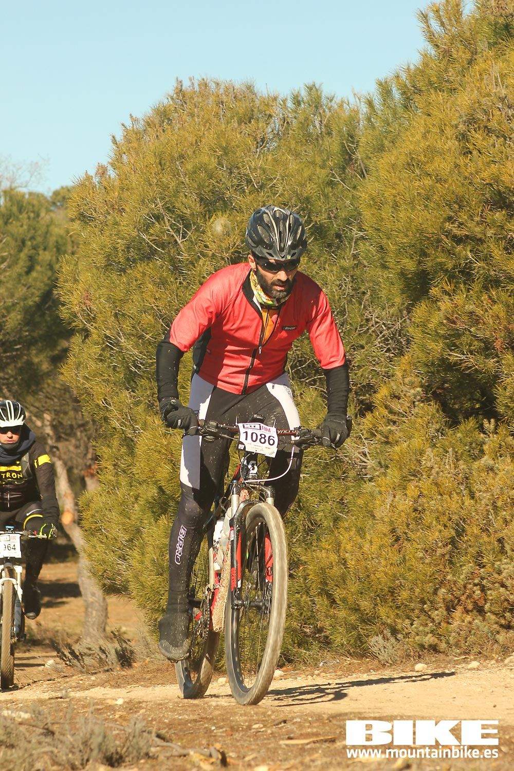 Valdemorillo 2015 Galeria 6