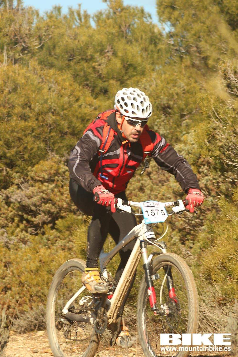 Valdemorillo 2015 Galeria 6