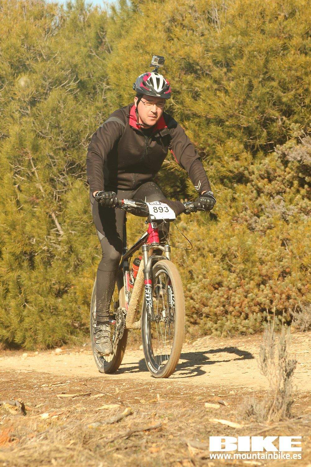Valdemorillo 2015 Galeria 6