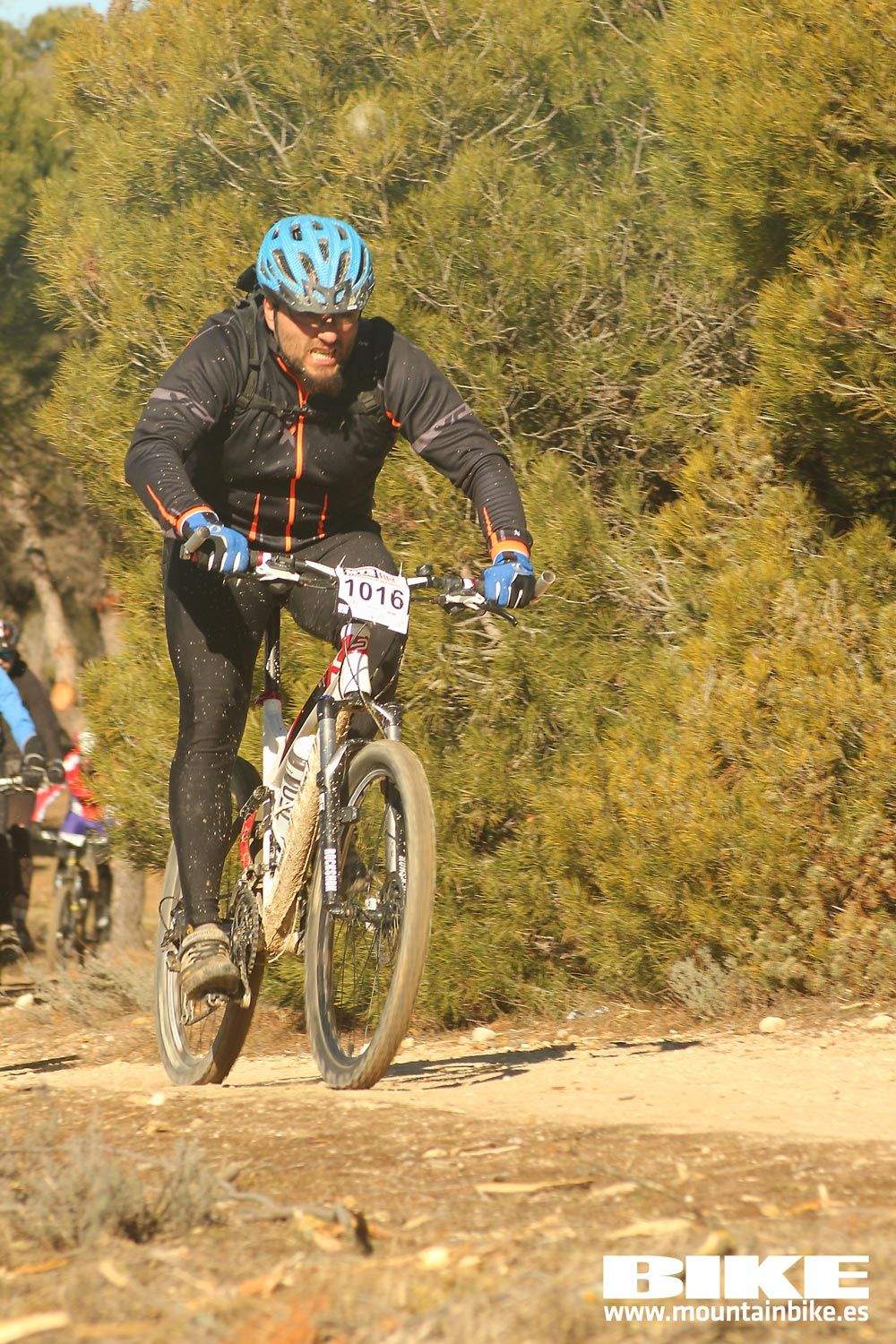 Valdemorillo 2015 Galeria 6