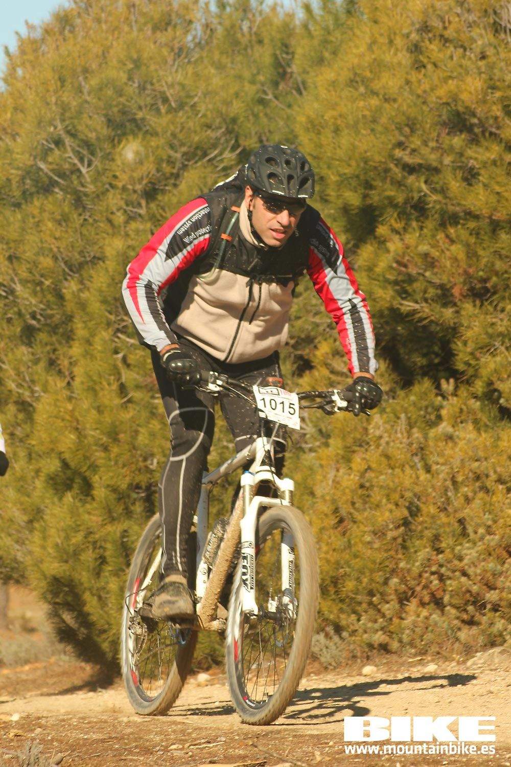 Valdemorillo 2015 Galeria 6