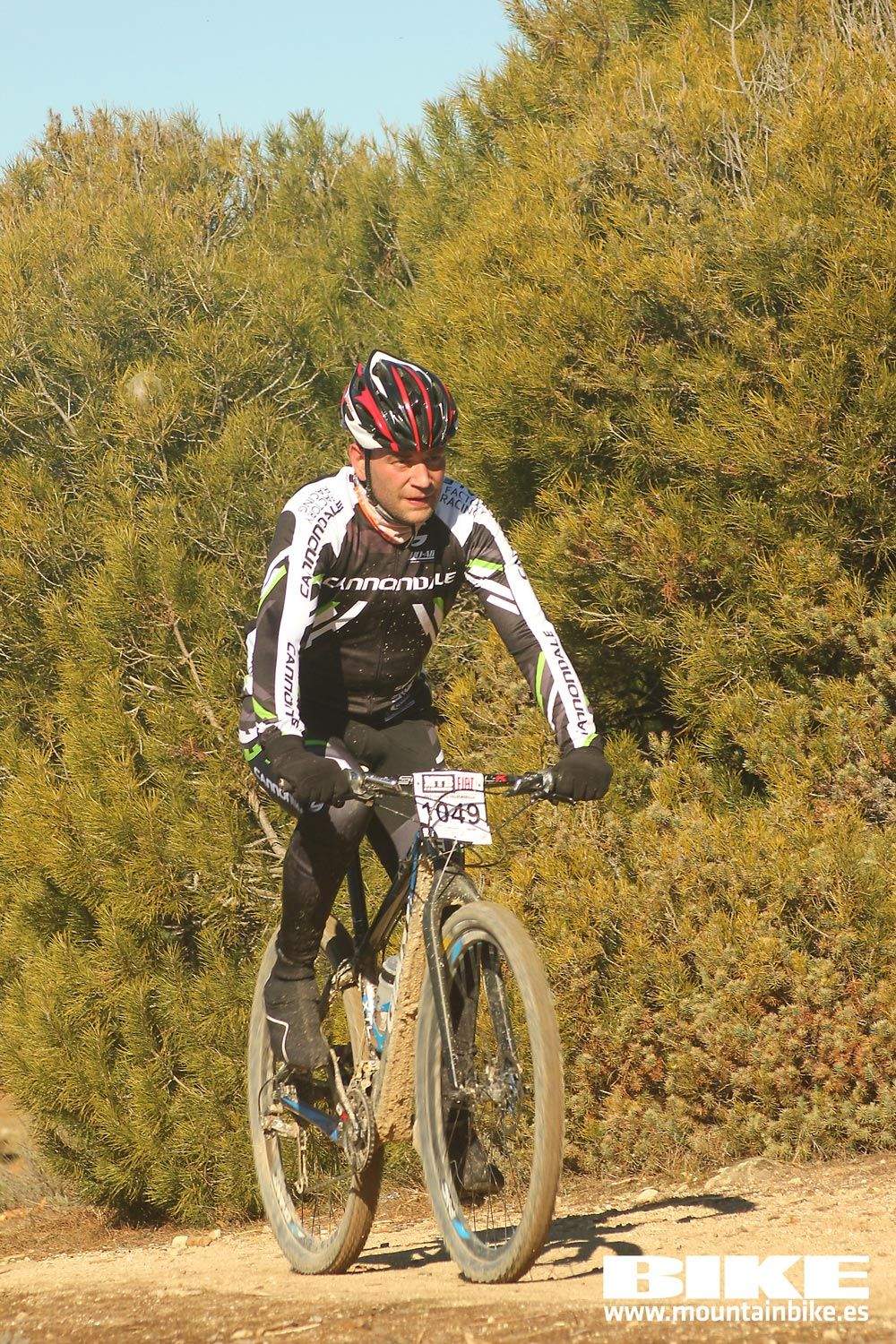 Valdemorillo 2015 Galeria 6