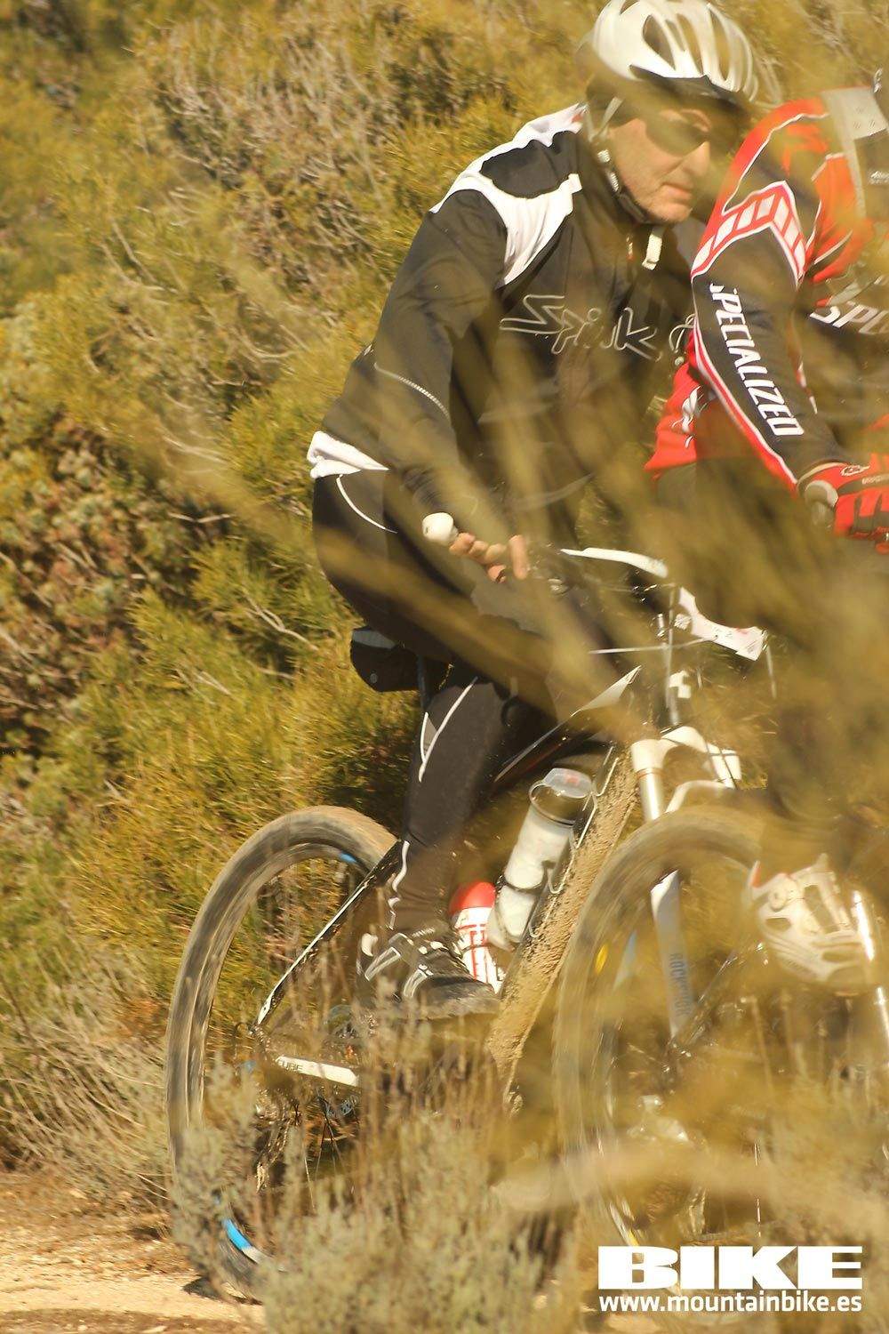 Valdemorillo 2015 Galeria 6