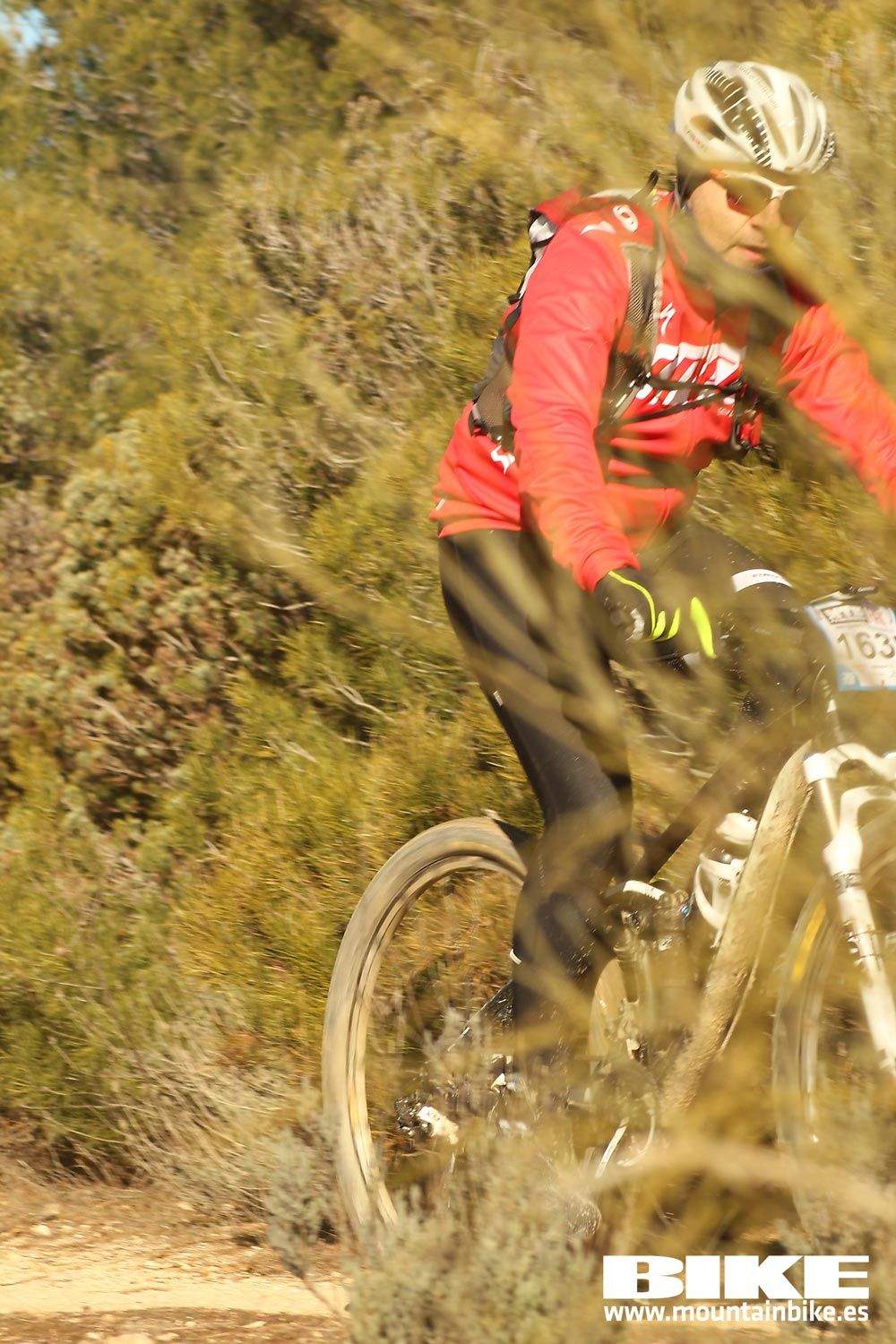 Valdemorillo 2015 Galeria 6