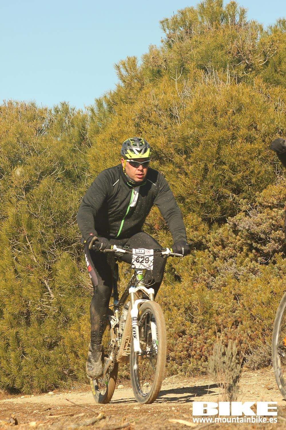 Valdemorillo 2015 Galeria 7