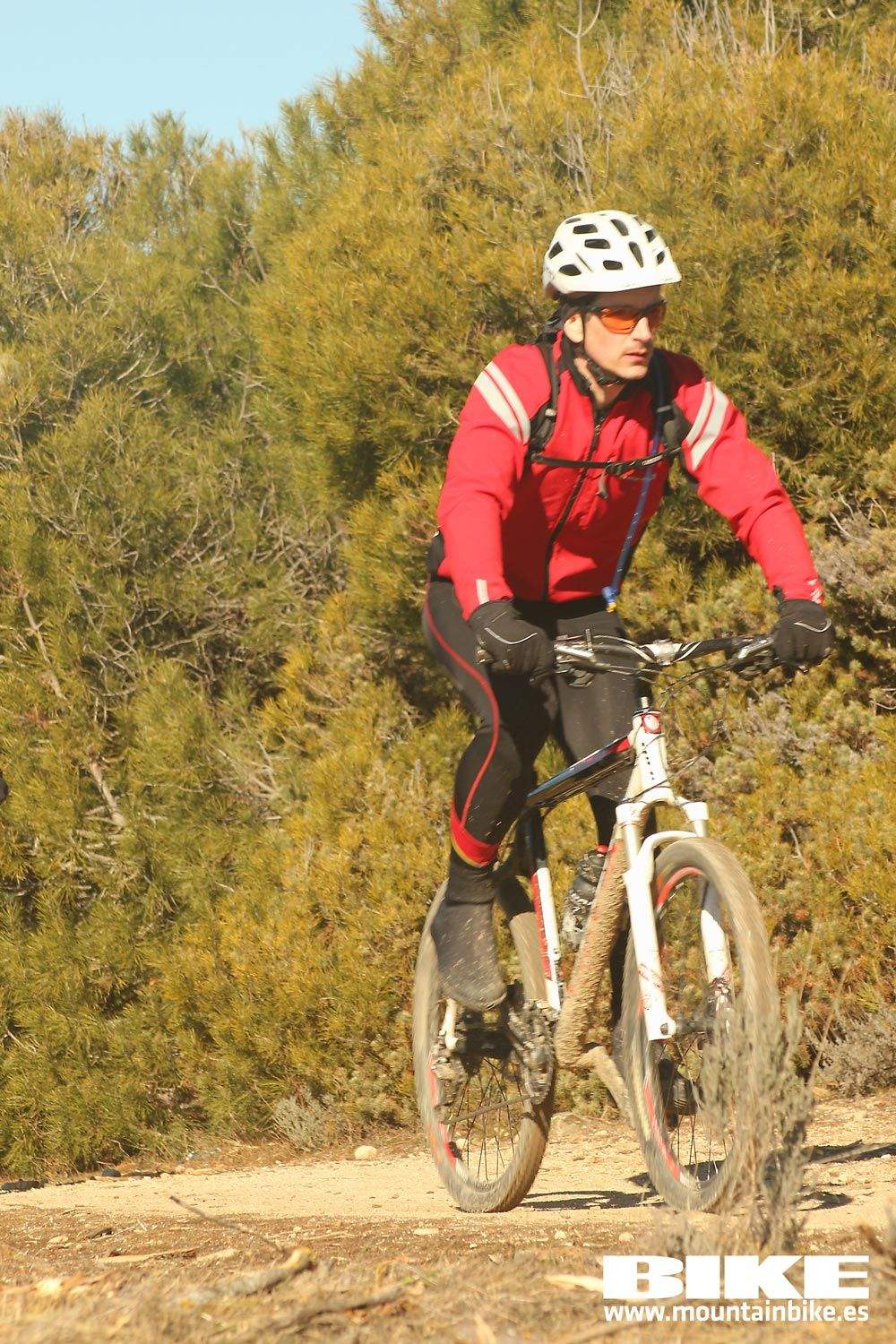 Valdemorillo 2015 Galeria 7