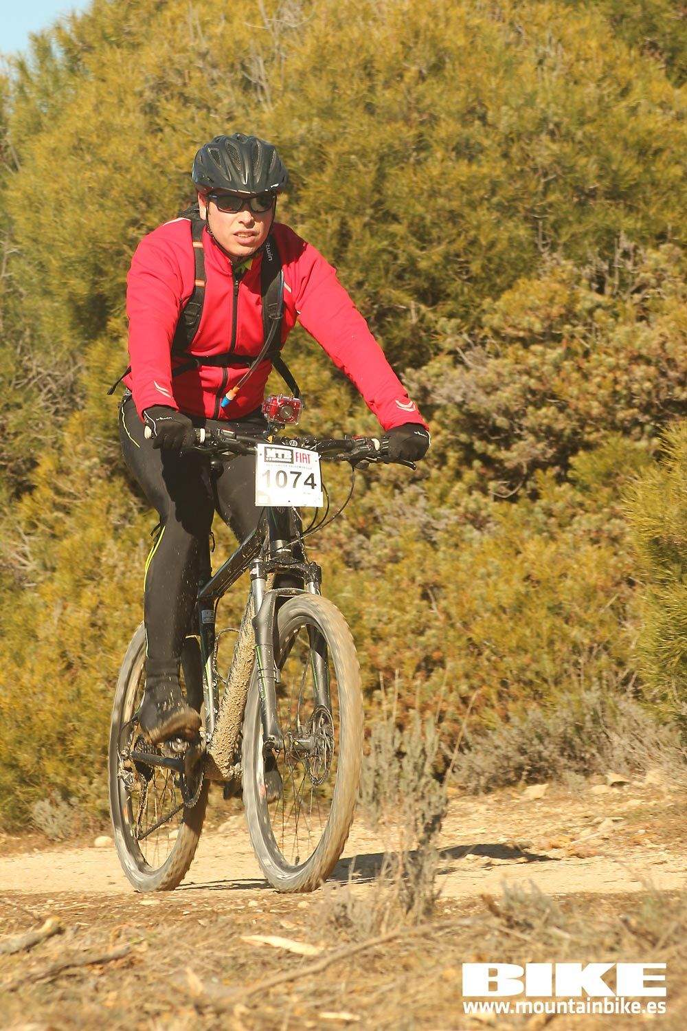 Valdemorillo 2015 Galeria 7