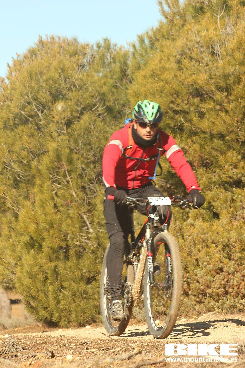 Valdemorillo 2015 Galeria 7