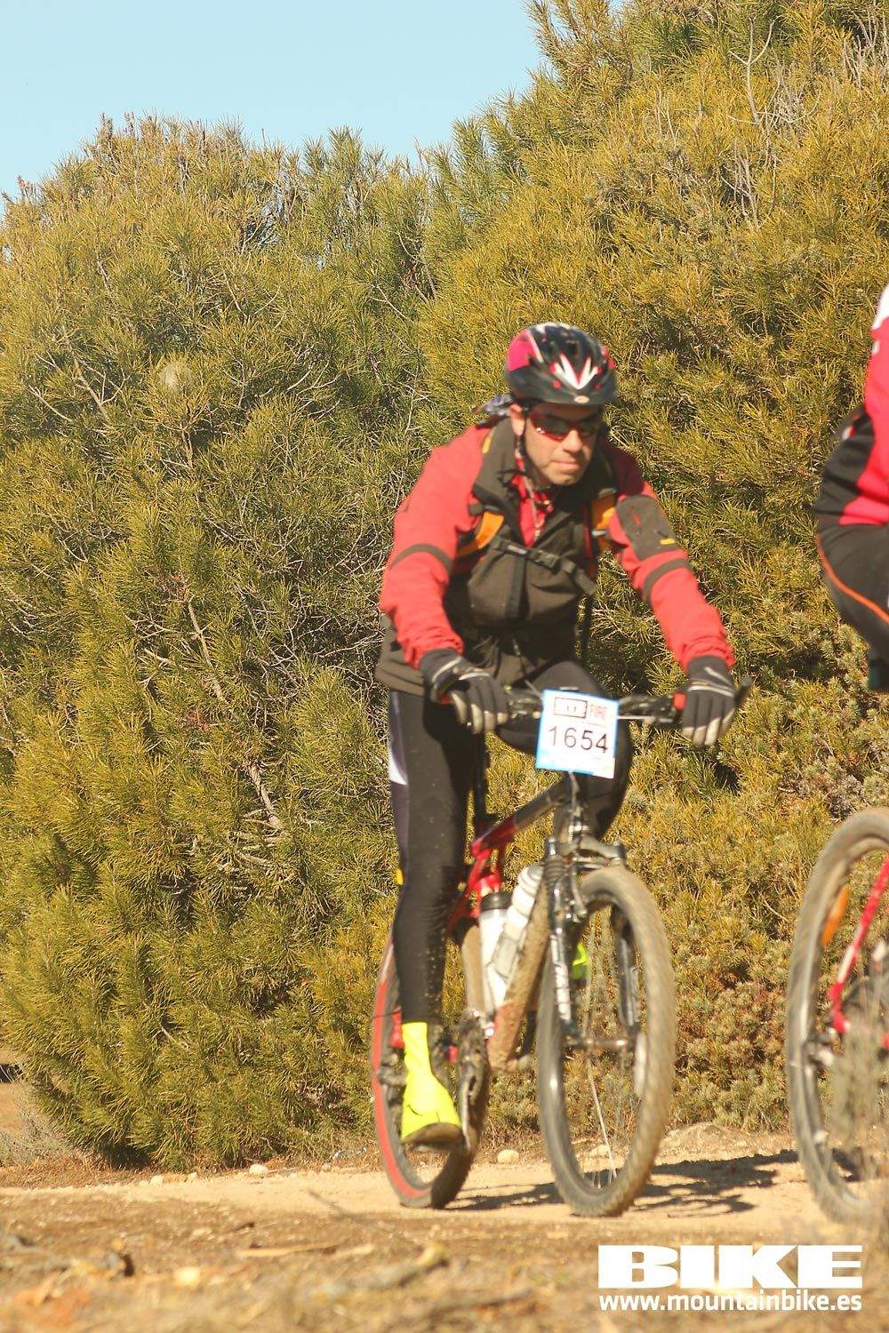 Valdemorillo 2015 Galeria 7