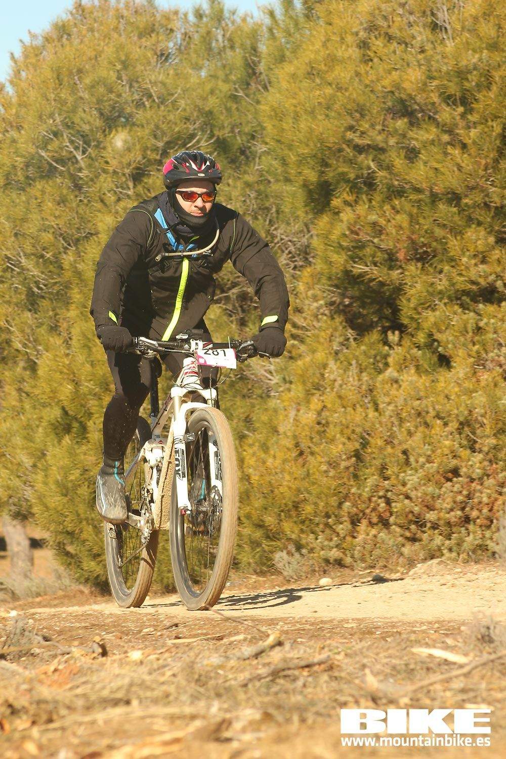Valdemorillo 2015 Galeria 7