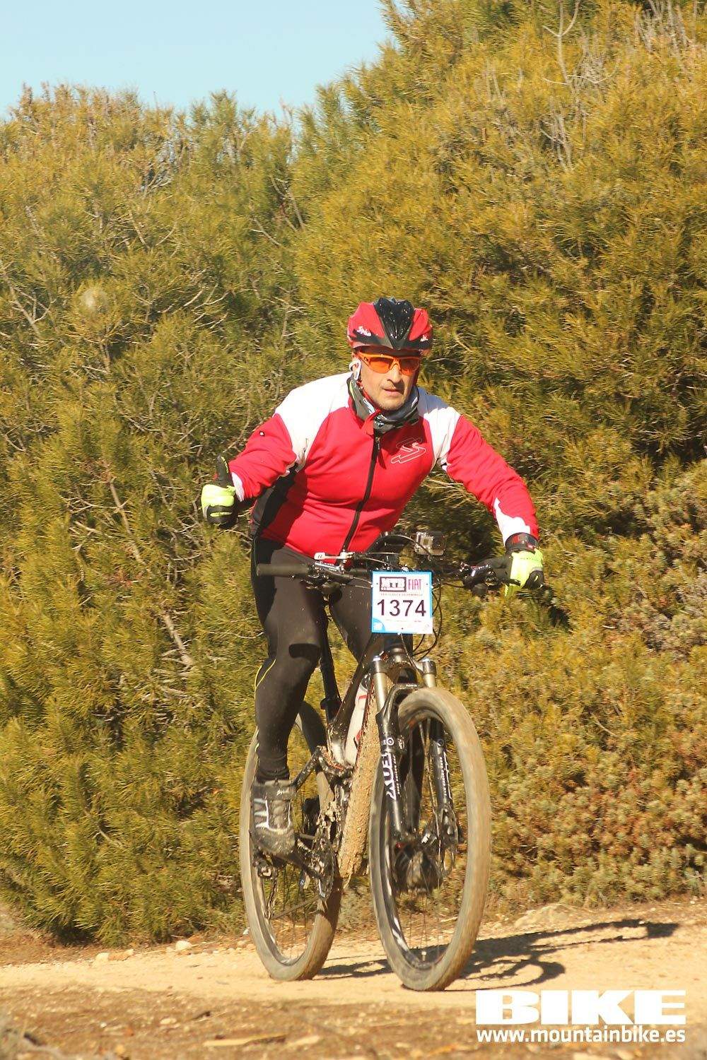 Valdemorillo 2015 Galeria 7