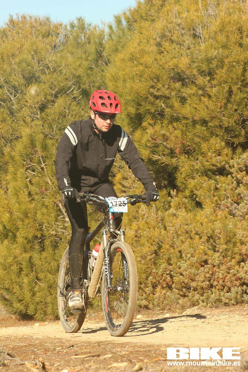 Valdemorillo 2015 Galeria 7