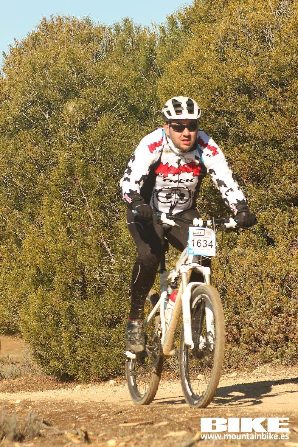Valdemorillo 2015 Galeria 7