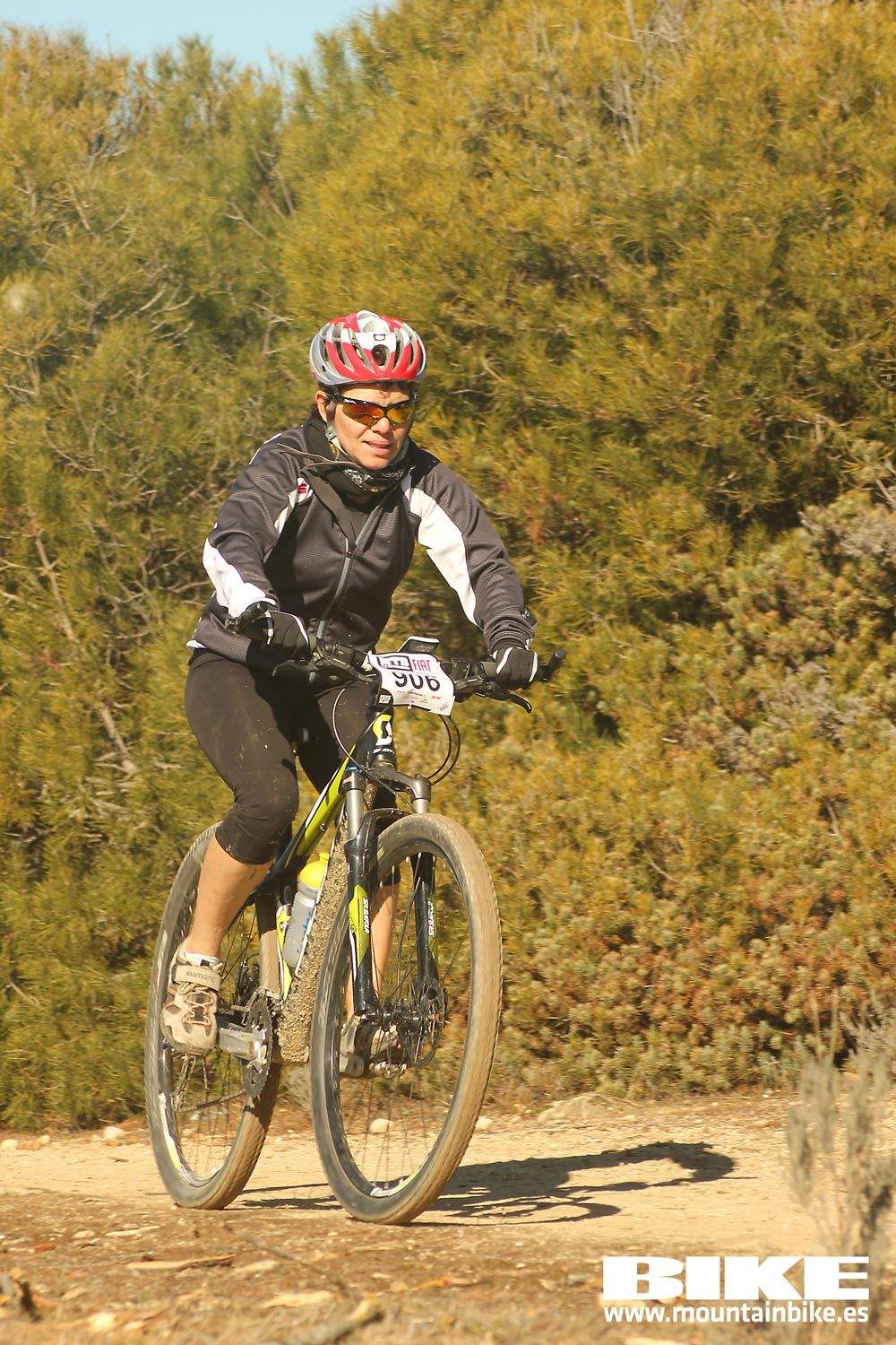 Valdemorillo 2015 Galeria 7