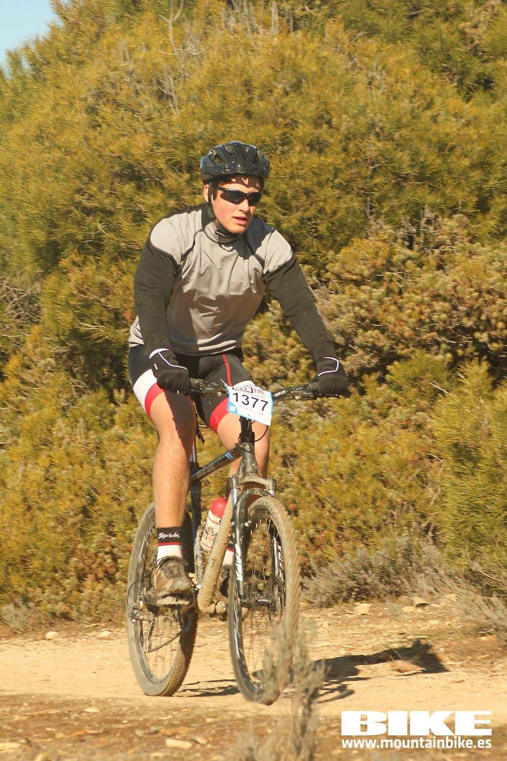 Valdemorillo 2015 Galeria 7