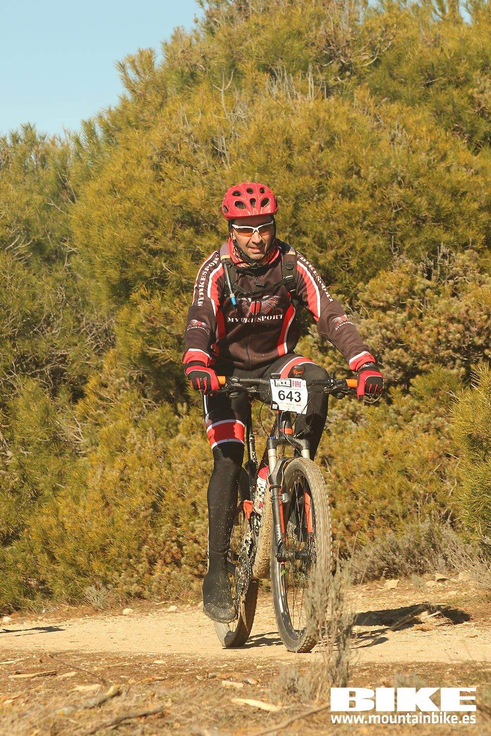 Valdemorillo 2015 Galeria 8