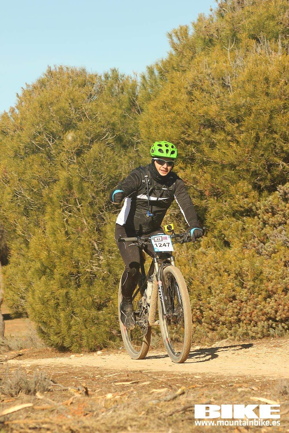 Valdemorillo 2015 Galeria 8
