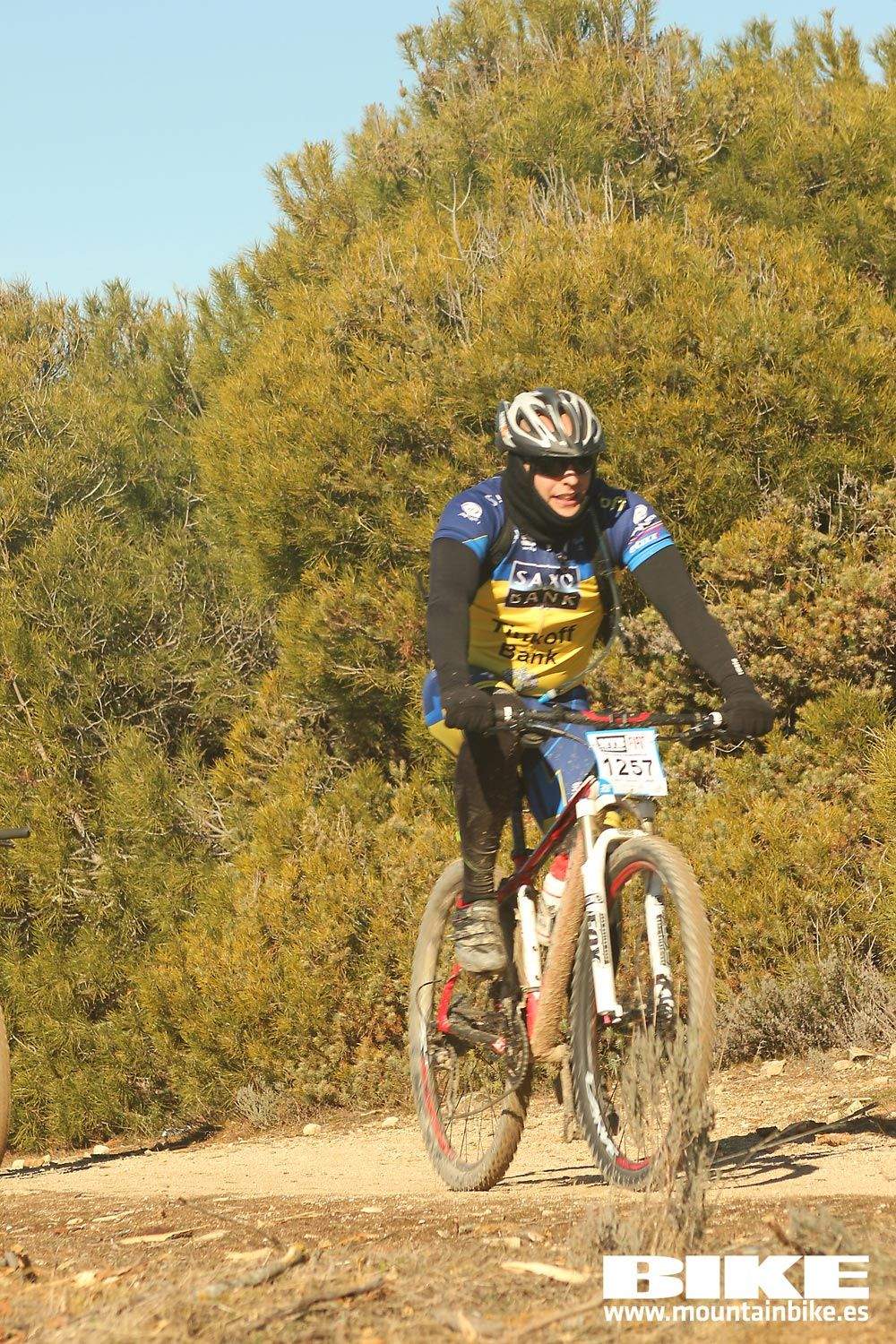 Valdemorillo 2015 Galeria 8
