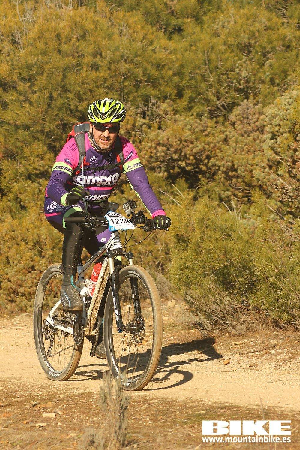 Valdemorillo 2015 Galeria 8