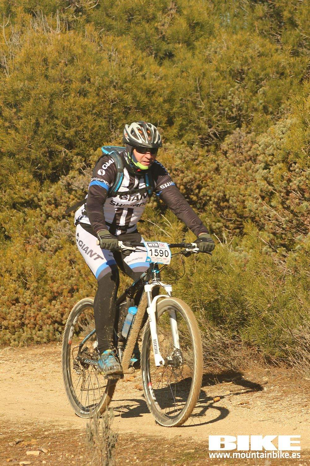 Valdemorillo 2015 Galeria 8
